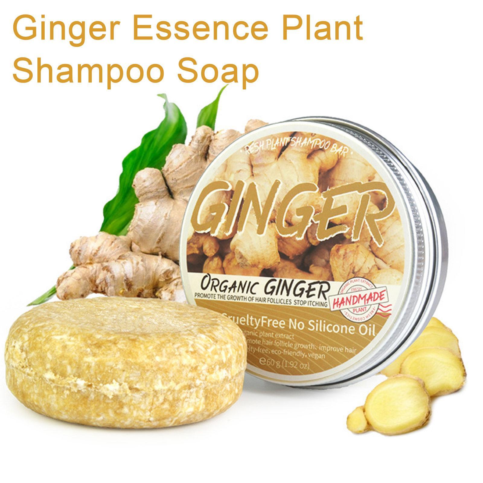 Ginger Polygonum Shampoo para  - Hair Care Organic avaliação e preço