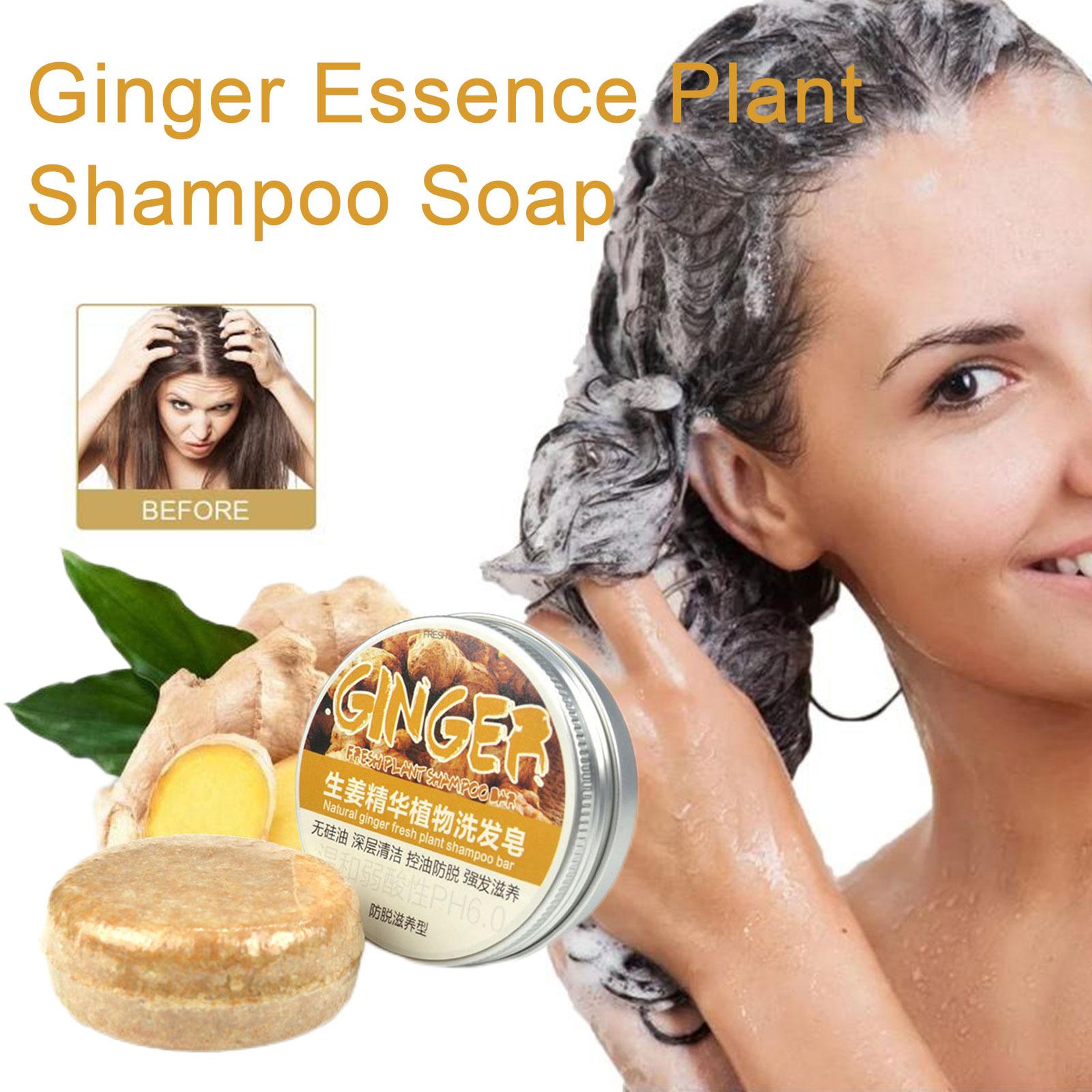 Ginger Polygonum Shampoo para  - Hair Care Organic avaliação e preço